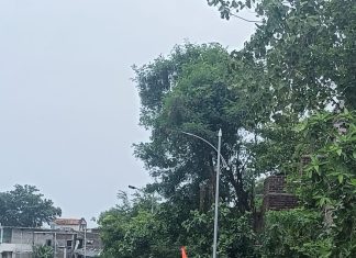 जय जय राम कृष्ण हरी च्या गजरात दिंडीचे पंढरपूर कडे प्रस्थान