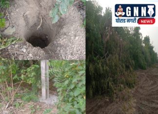 ठेकेदाराकडून विजेच्या नवीन वाहीनीचे पोल उभे करताना शेतकर्याचे नुकसान