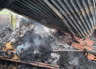 हिंगणी येथे वीज पडून शेतातील कोठा जळाला , बैल जखमी