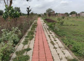 क्रीडाप्रेमींचा सवाल, ७ वर्षांपासून काम अद्याप अपूर्ण;