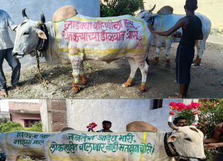 आश्वासन दिले कर्ज माफी चे भारी, शेतकरी फिरतो दारोदारी