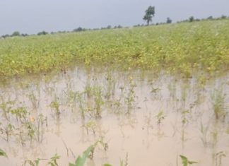 सेलूत दमदार पाऊस नदी नाल्याला पुर, शेतकर्यांची चिंता वाढली