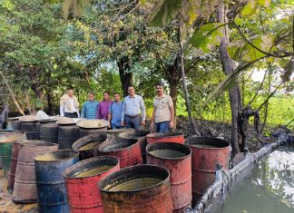 अवैध दारू निर्मितीवर सेलू पोलिसांची धडक कारवाई