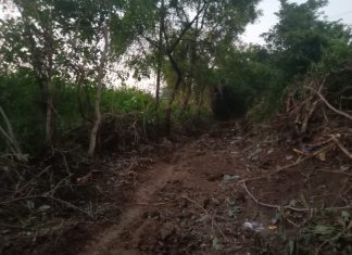 सेलू येथे पाणीपुरवठा पाईपलाईन कामामुळे शेतकऱ्यांचे मोठे नुकसान; कंत्राटदाराच्या मनमानी कारभारावर शेतकऱ्यांचा संताप