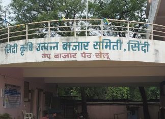 सेलू उपबाजारपेठ येथे कापूस खरेदीचा शुभारंभ गुरुवारला
