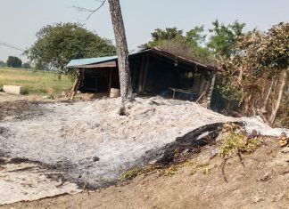 शेतातील तुरीचे गंजीला लावलेल्या आगीत 2400 पेट्या जळून खाक