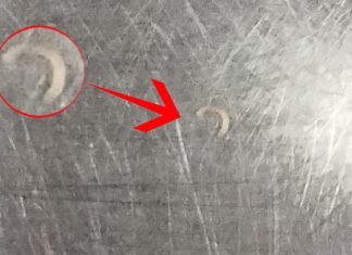 नळाच्या पाण्यात ‘नारू’; रेहकी कला ग्रामपंचायतीच्या कारभारावर पुन्हा प्रश्नचिन्ह