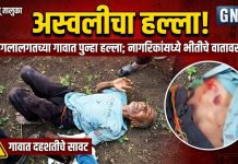 जंगलालगतच्या गावात पुन्हा हल्ला; नागरिकांमध्ये भीतीचे वातावरण