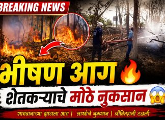 शेतातील सागवानाला आग आगीमध्ये शेतकऱ्याचे नुकसान