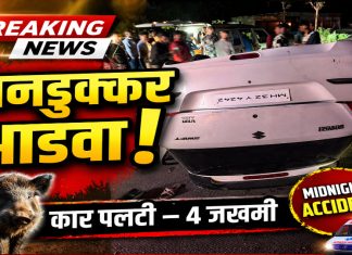 मध्यरात्रीचा अपघात: रानडुक्कर आडवा, कार पलटी; चार जखमी